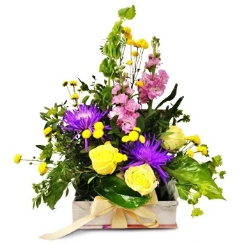 גראן קנריה פרחים- גוונים בהירים פרח משלוח