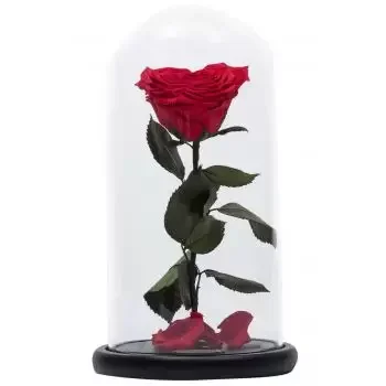 Minieh i Danieh cvijeća- Začarana ruža Cvijet Isporuke