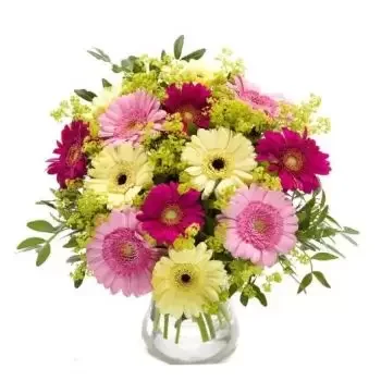 بائع زهور أوجانغا- فرحة الربيع زهرة التسليم