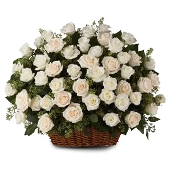 Dalnegorskij פרחים- לבן ללא רבב פרח משלוח