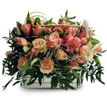 Samara Blumen Florist- Zarte Schönheit Blumen Lieferung