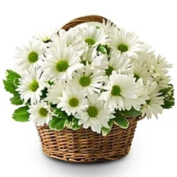 Novosibirsk flowers  -  Soothing and Visual Flower Delivery