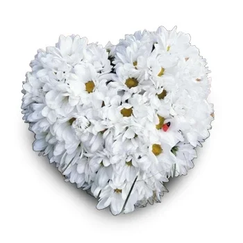 Artemovskij-virágok- Élénk szépség Virág Szállítás
