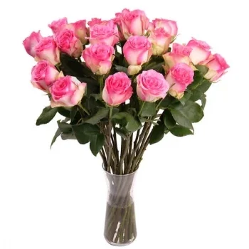 ดอกไม้ มันไฮม์ - ความสง่างามสีชมพู ดอกไม้ จัด ส่ง