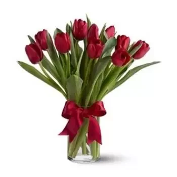 flores de Prague- Beleza vermelha Flor Entrega