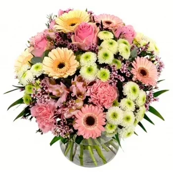 Алтенхаузен цветя- Сладки венчелистчета Цвете Доставка