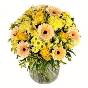 flores de Duisburg- Refrescante Flor Entrega