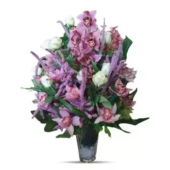 Belgrado online bloemist - Oosterse paarse orchidee droom Boeket