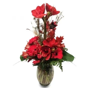 Madrid flowers  -  Basic Red Flower Delivery