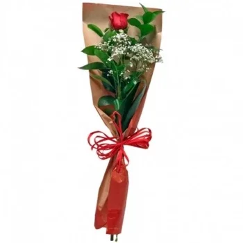 Madrid flowers  -  Expresses  Flower Delivery