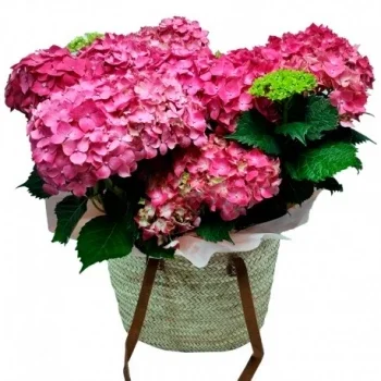 Madrid Online kukkakauppias - Makea & Pinkki Kimppu