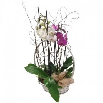 מדריד חנות פרחים באינטרנט - מתנה יוקרתית זר פרחים