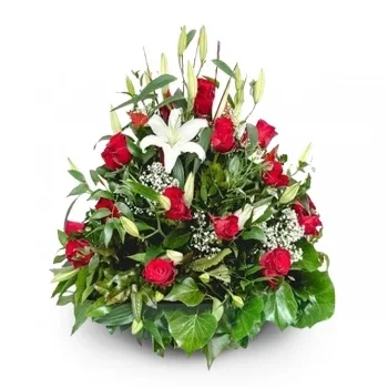 Camargo Blumen Florist- Rose Blush Lily Lounge Blumen Lieferung