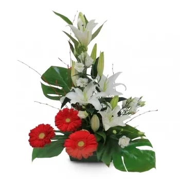 Montgat цветя- Сияйна герберска горичка Цвете Доставка