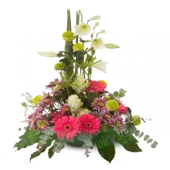 Benalmadena flowers  -  Bloom Bliss Gerbera Hub Flower Delivery