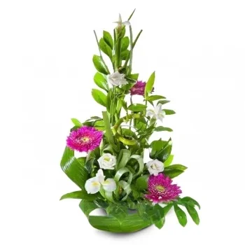 Cala San Vicente-virágok- Winter's Grace Display Virág Szállítás