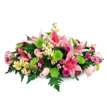 Φοζ λουλούδια- Vibrance Floral Gallery Λουλούδι Παράδοση