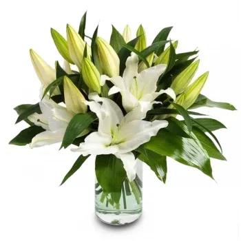 بائع زهور فيونجيرولا- إشعاع زنبق رشيق زهرة التسليم