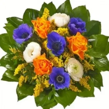 Aebtissinwisch Blumen Florist- Blumenstrauß Frühlingsgruß Blumen Lieferung
