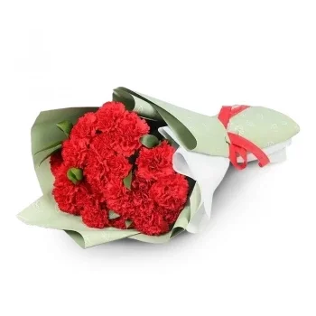 Dubai internet city flowers  -  Love Carnations Collection Flower Delivery