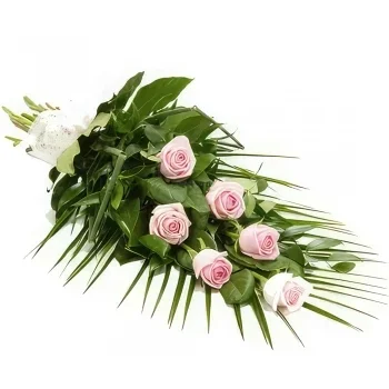 flores de Sofia- Expressando simpatia Flor Entrega