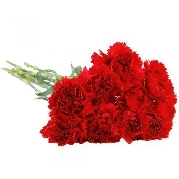 Sofia bunga- Menghormati Carnation Merah Bunga Penghantaran