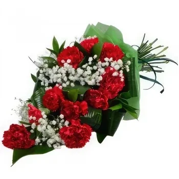 Болгария цветы- Нежные красные гвоздики Цветок Доставка