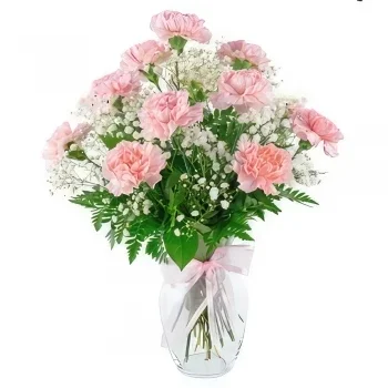 flores Bulgaria floristeria -  Sentimientos sinceros Ramos de  con entrega a domicilio