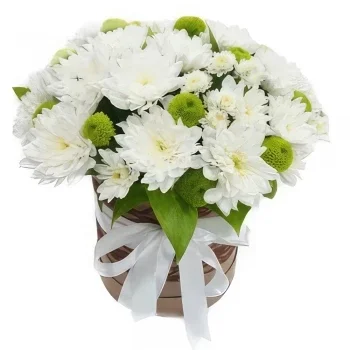 flores Bulgaria floristeria -  Felicidad del crisantemo Ramos de  con entrega a domicilio