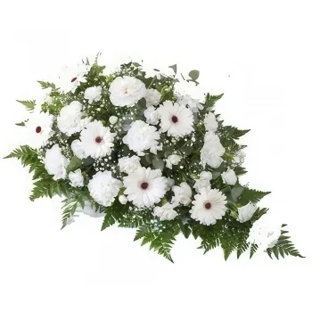 Sofia kwiaty- Pokojowe pożegnanie Kwiat Dostawy