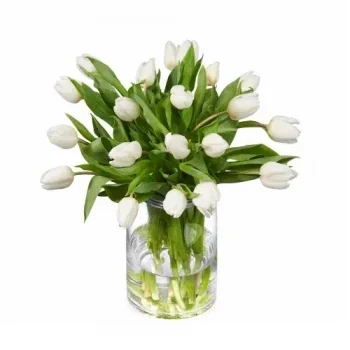 Biervliet פרחים- White Delight פרח משלוח