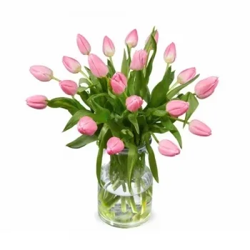Bruinehaar פרחים- ורוד אלגנטיות פרח משלוח