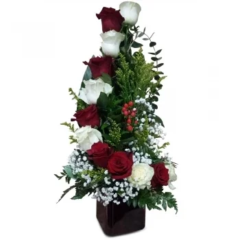 סנט מארטן פרחים- אהבה נשיקה להבה פרח משלוח