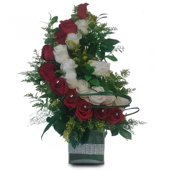 סנט מארטן פרחים- חיבת קטיפה פרח משלוח