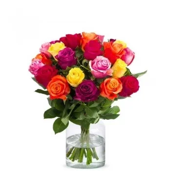 Αϊντχόβεν λουλούδια- Φθινοπωρινά άνθη Blaze Λουλούδι Παράδοση
