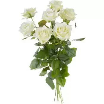 베른 꽃- 싱글 화이트 로즈 꽃 배달