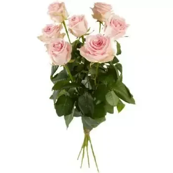 ดอกไม้ เจนีวา - กุหลาบสีชมพูเดียว ดอกไม้ จัด ส่ง