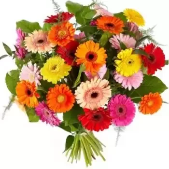 Chepica bunga- Gerbera berwarna-warni Bunga Penghantaran