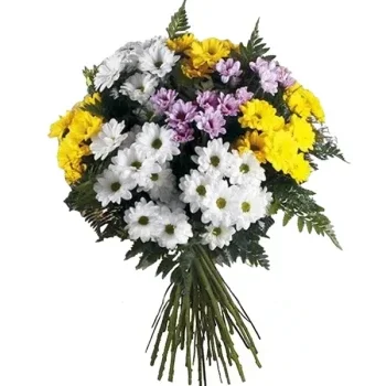 بائع زهور مايوركا- أناقة الأزهار