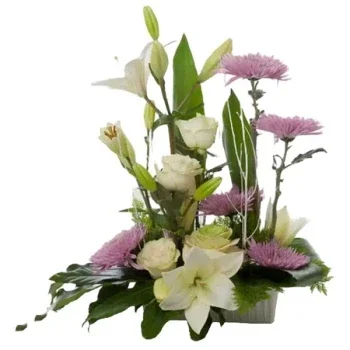 بائع زهور مايوركا- مركز جنازة بسيط