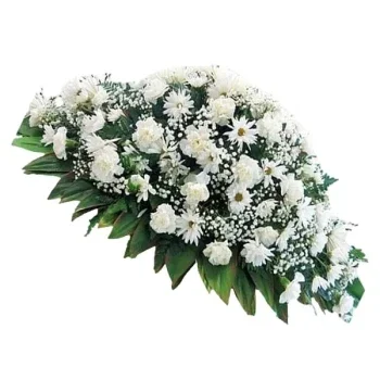 بائع زهور مايوركا- تحية الخشخاش السلمية