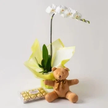 بائع زهور كوريتيبا- صندوق الحب