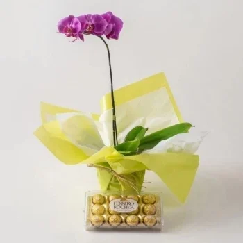 بائع زهور كوريتيبا- أحبك