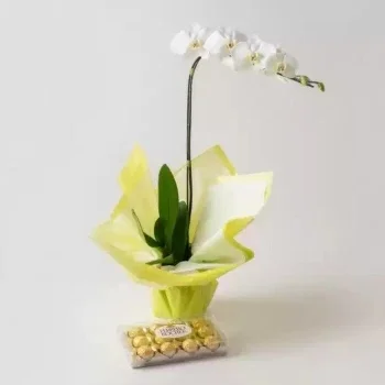 ベロオリゾンテ 花- エレガントなギフト