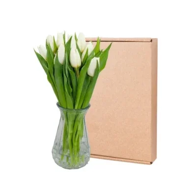 Albergen flowers  -  Snowy Elegance Tulip Flower Delivery