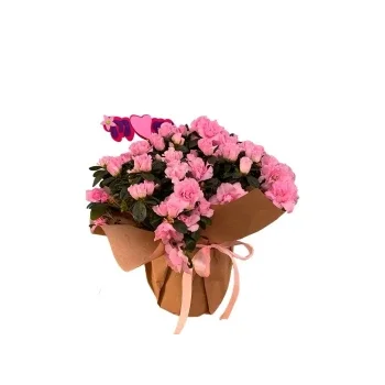 flores de Daher el baydar- Evocar emoções Flor Entrega