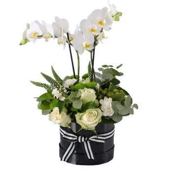 דובאי פרחים- קופסה לבנה