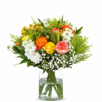 Hollandia-virágok- Reggeli Választás