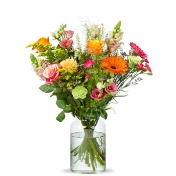 Holland flowers  -  Soft Selection