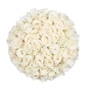 Hilversum flori- Totul alb Floare Livrare